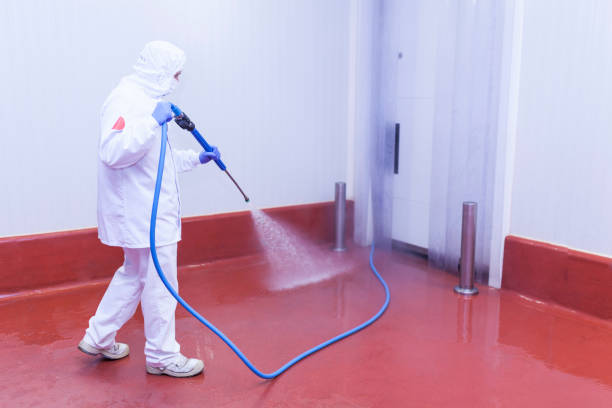 Spring Cleaning in Towson, MD